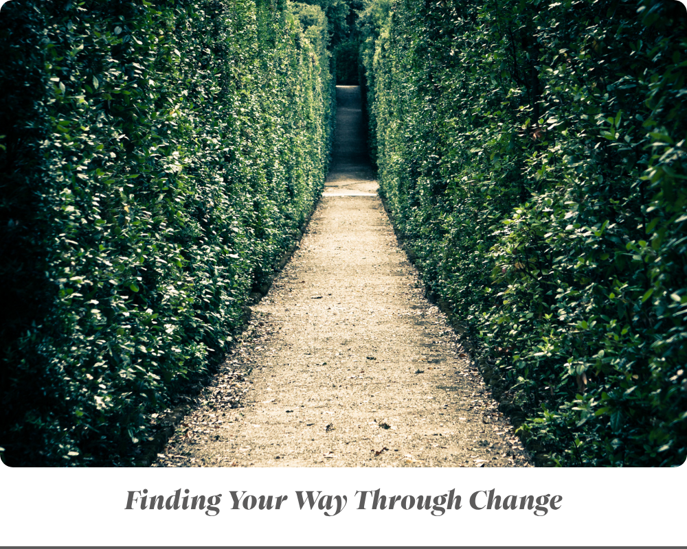 Adapting to Change in Midlife: Lessons From "Who Moved My Cheese?"