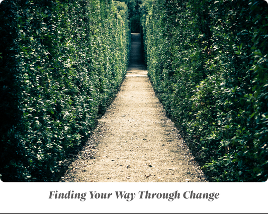 Adapting to Change in Midlife: Lessons From "Who Moved My Cheese?"